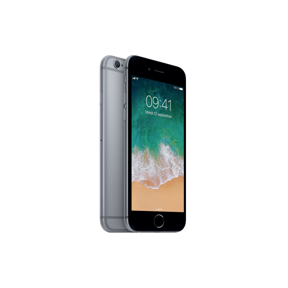 Coque IPHONE 6S Plus Gris Sidéral + Verre Trempé Inclus - Neuf